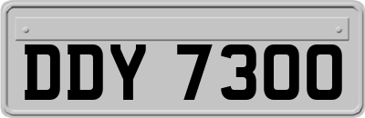 DDY7300