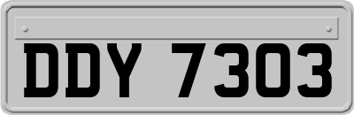 DDY7303