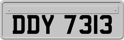 DDY7313
