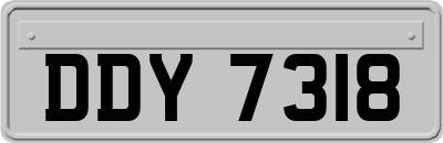 DDY7318
