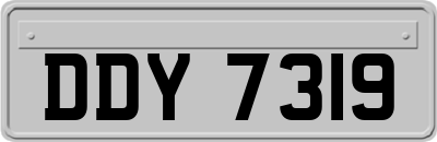 DDY7319