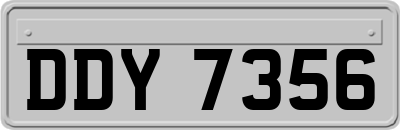 DDY7356