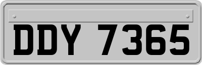 DDY7365