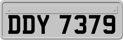 DDY7379