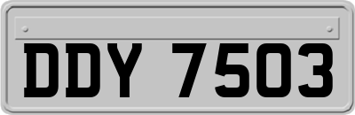 DDY7503