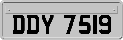 DDY7519