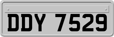 DDY7529