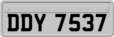 DDY7537