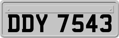 DDY7543