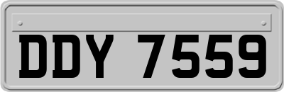 DDY7559