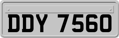 DDY7560