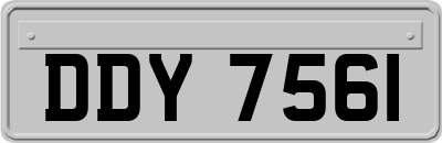 DDY7561
