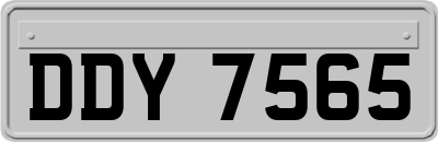 DDY7565