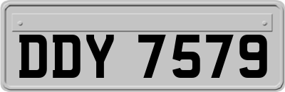 DDY7579