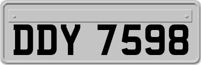 DDY7598