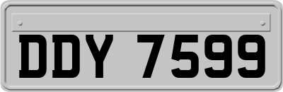 DDY7599