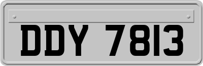 DDY7813