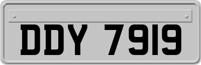DDY7919