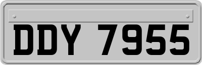 DDY7955
