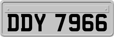 DDY7966