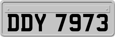 DDY7973