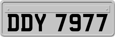 DDY7977