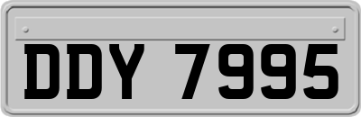 DDY7995