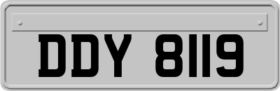 DDY8119