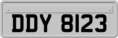 DDY8123