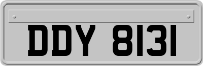 DDY8131