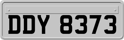 DDY8373