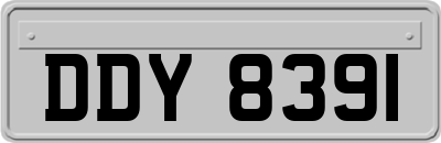 DDY8391