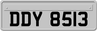 DDY8513