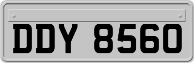 DDY8560