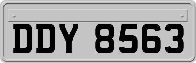 DDY8563