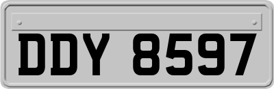 DDY8597