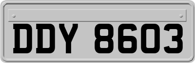 DDY8603
