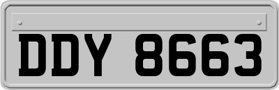 DDY8663