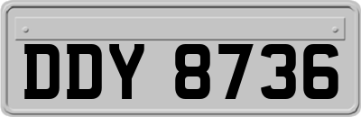 DDY8736