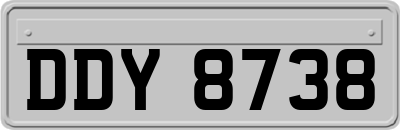 DDY8738