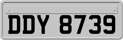 DDY8739