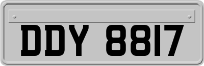 DDY8817