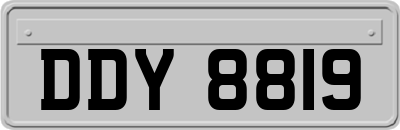 DDY8819