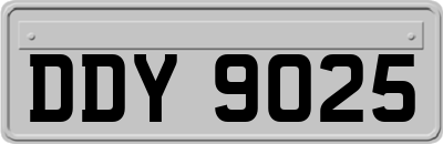 DDY9025