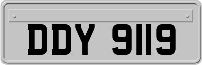DDY9119