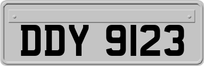 DDY9123