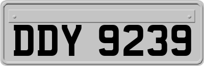 DDY9239