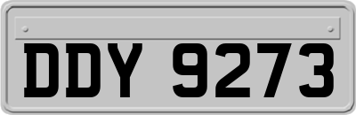 DDY9273