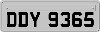 DDY9365