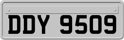DDY9509